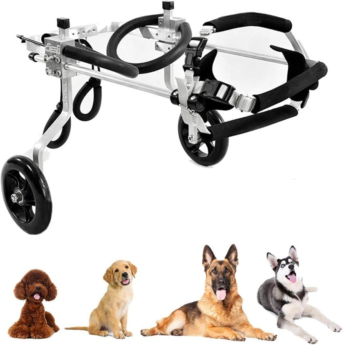 Test : fauteuil roulant ajustable pour animaux handicapés par Réglable