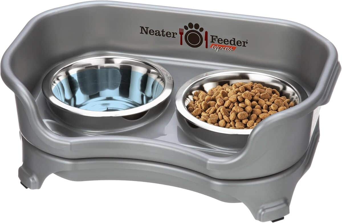 Test Neater Feeder Express : mangeoire anti-désordre pour chien