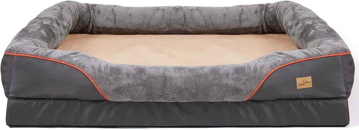 Test : bingoPaw Coussin Orthopédique pour Chien