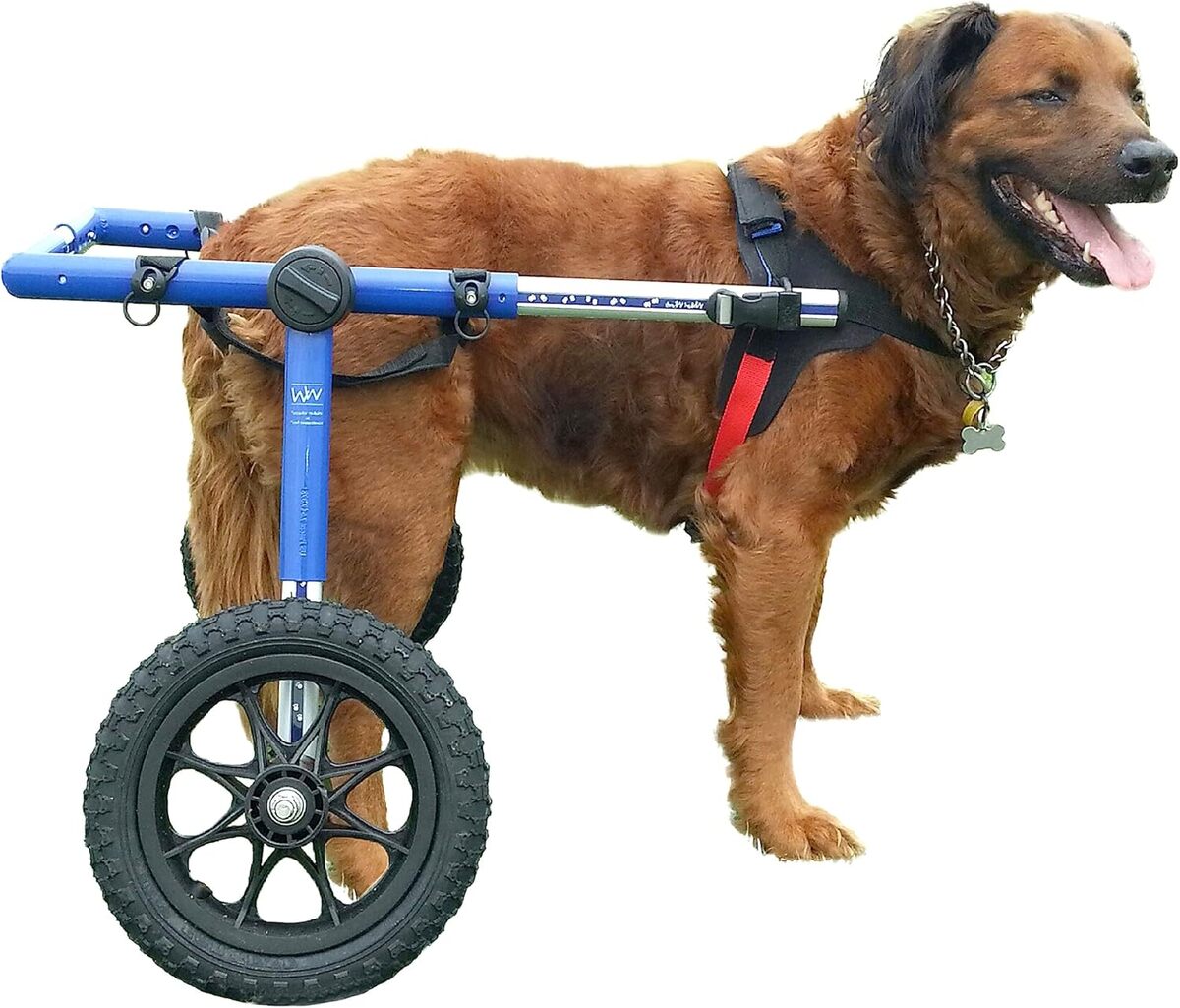 Test : chien pour fauteuil roulant Roues pour grande taille