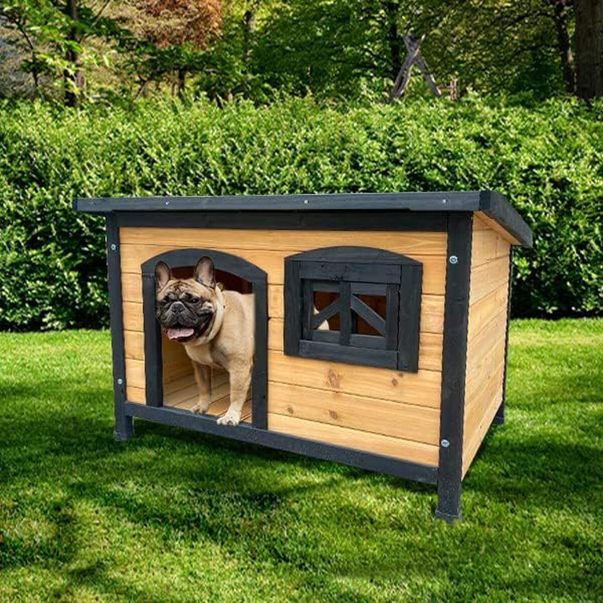 Test de la niche éco-responsable Toby en bois pour chiens