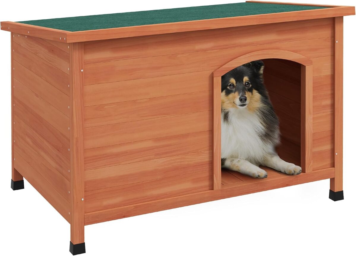 Test de la niche PawHut en bois pour chiens