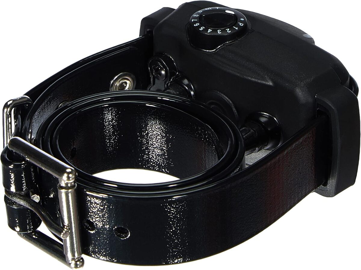 Test du collier-récepteur Dogtra YS 600 pour chien