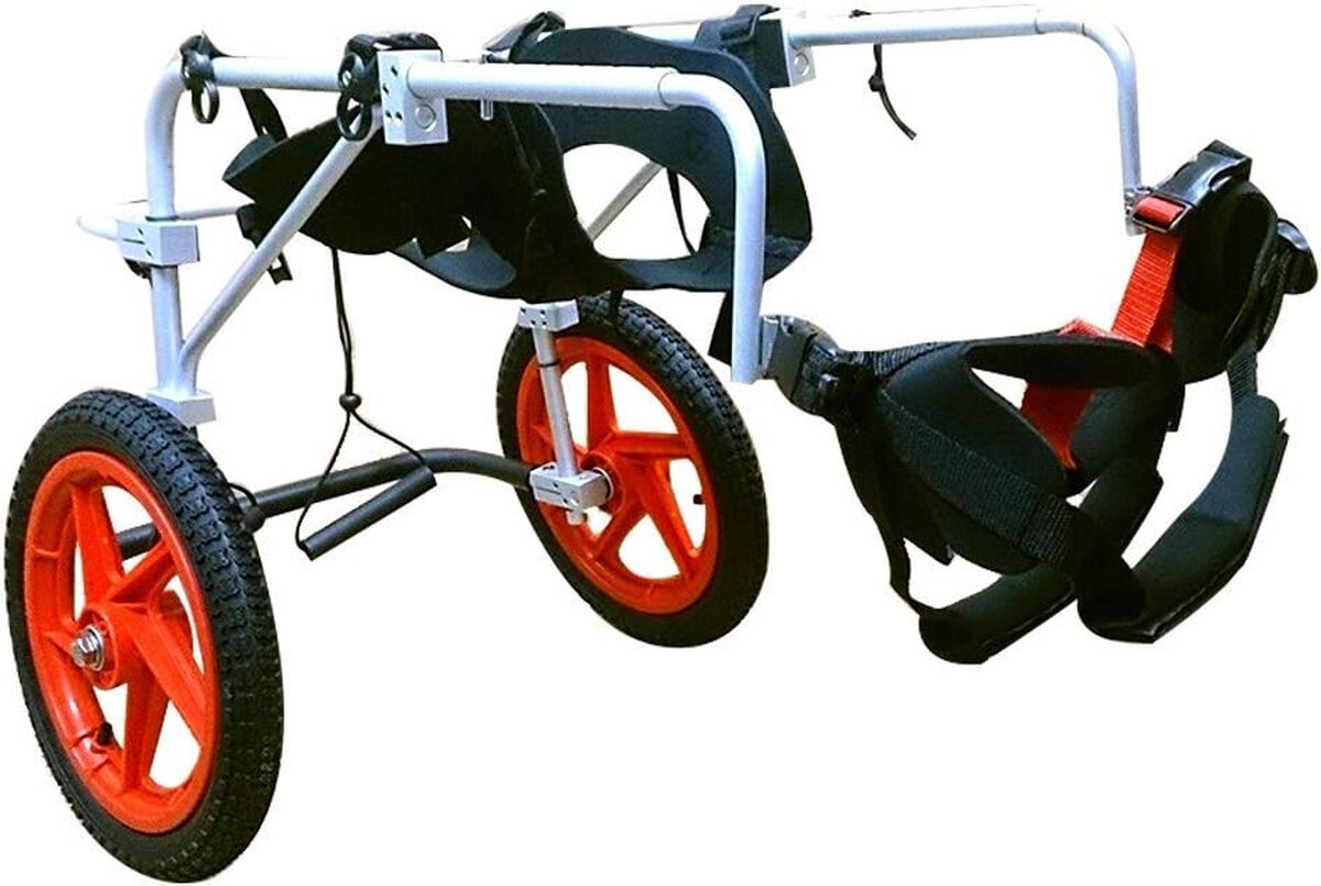 Test du fauteuil roulant grand chien KHUY : confort et mobilité pour votre compagnon