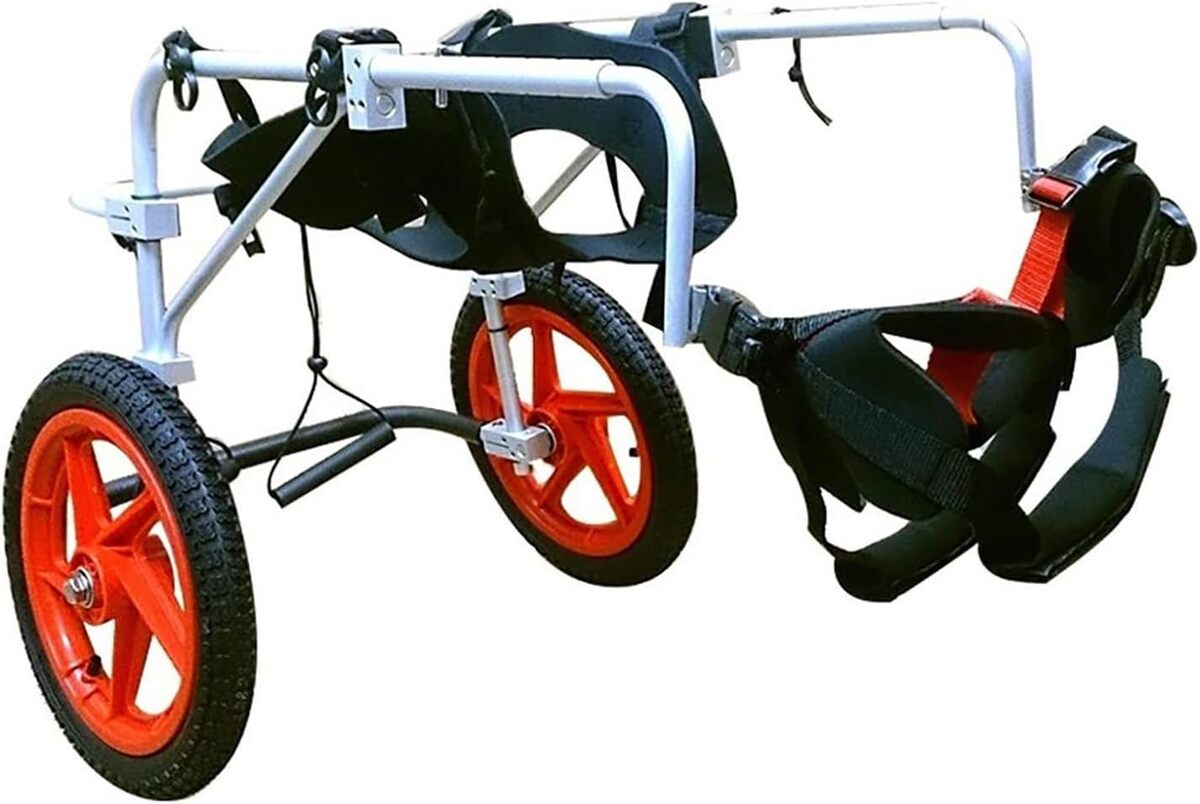 Test du fauteuil roulant réglable pour chien : légèreté et fonctionnalité