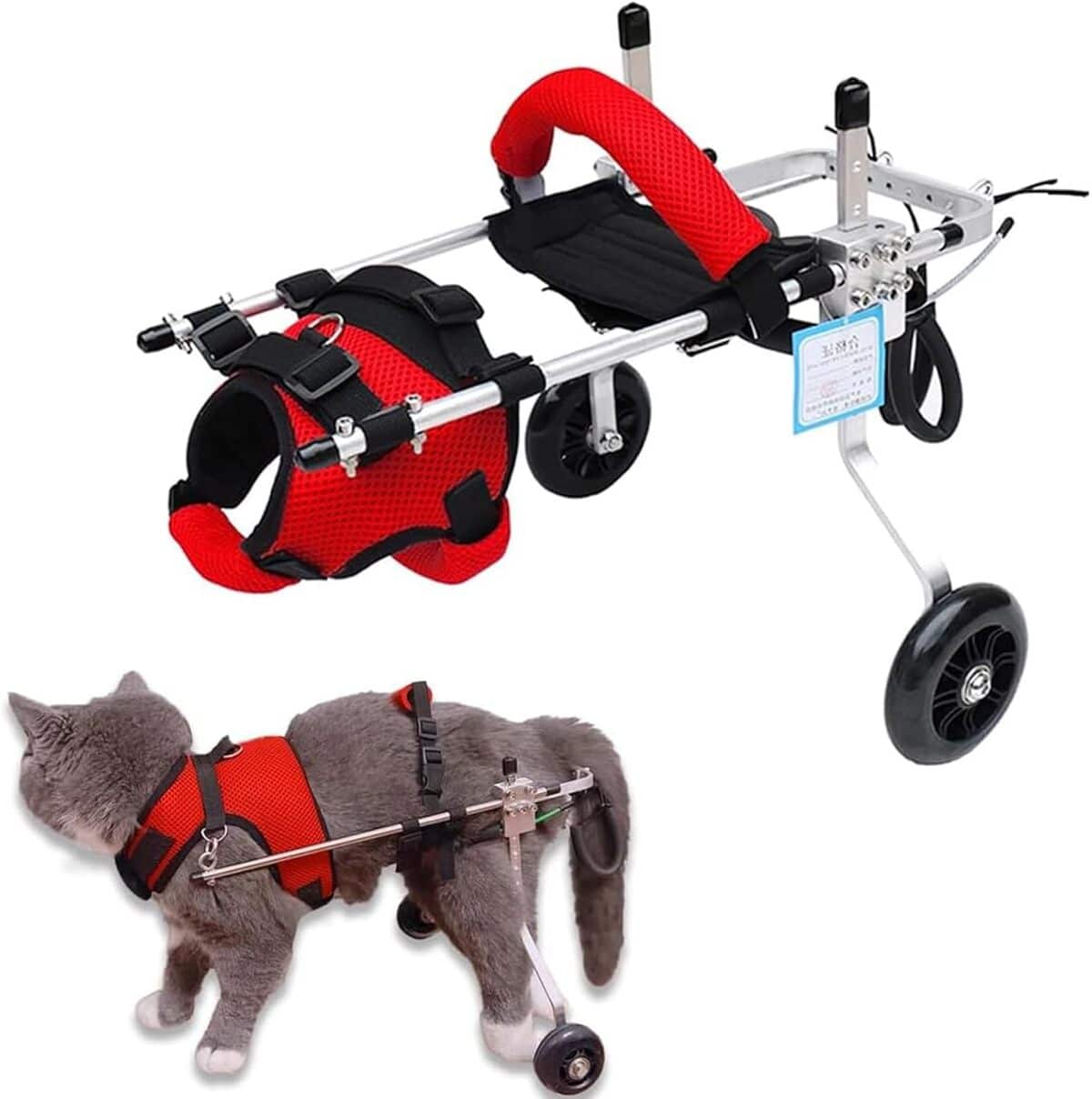 Test du harnais RUYICZB : mobilité pour animaux handicapés