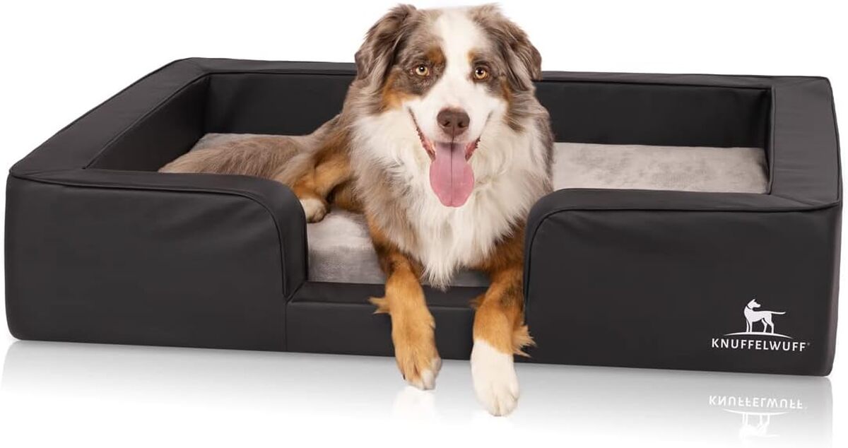 Test du panier orthopédique Knuffelwuff pour chien