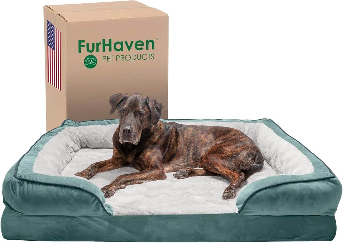 Test du sofa pour chien Furhaven XXL Memory Foam : confort et design