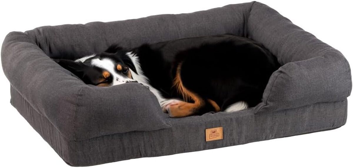 Test : ferplast Panier Chien Orthopédique