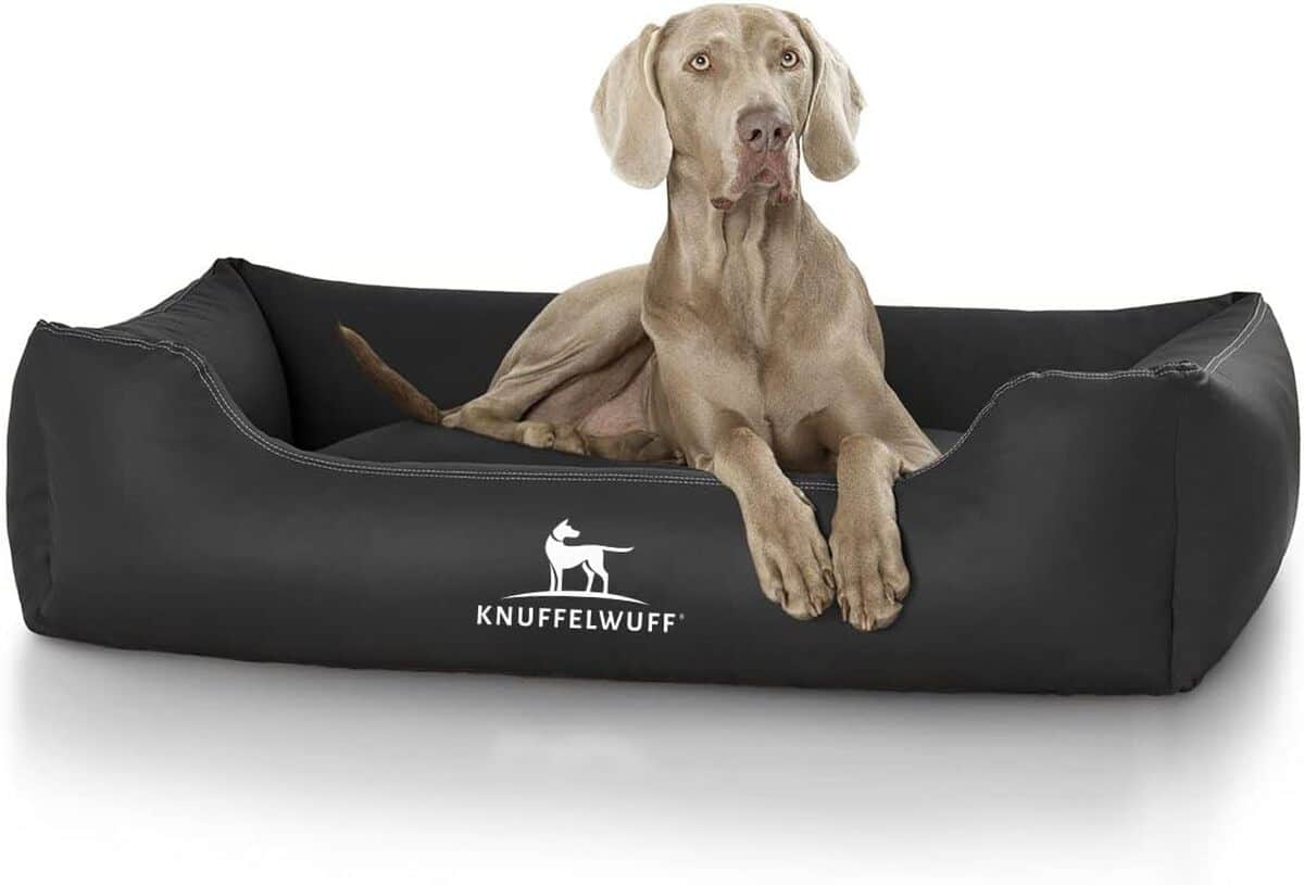 Test : knuffelwuff lit pour chien Sidney XXXL noir