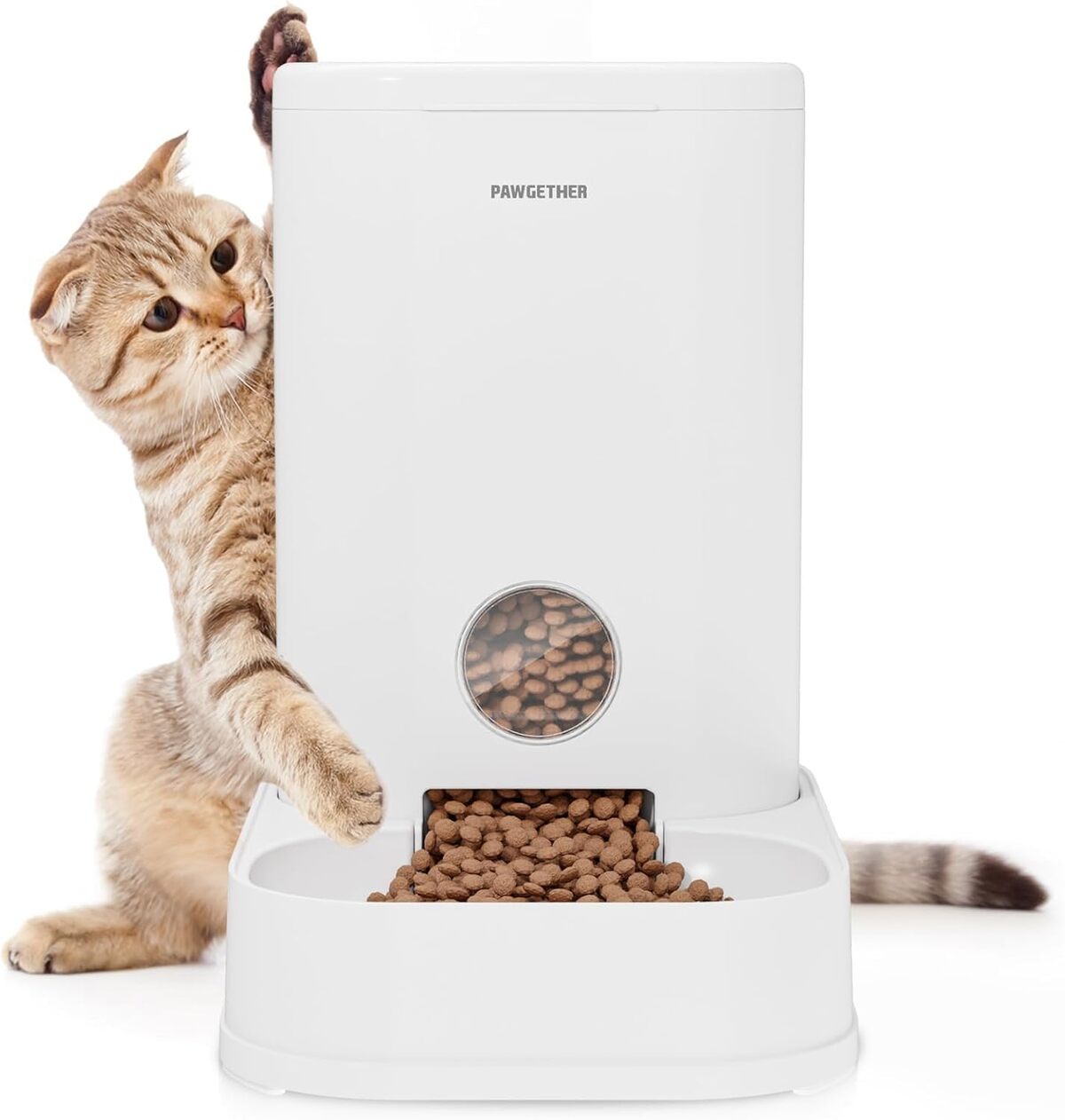 Test de la mangeoire à gravité Pawgether 3, 5 l pour chat et chien