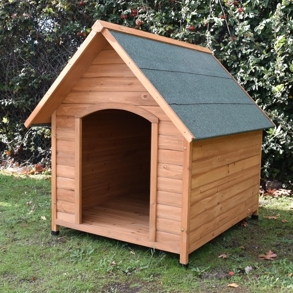 Test de la niche Natura taille XXL pour chien