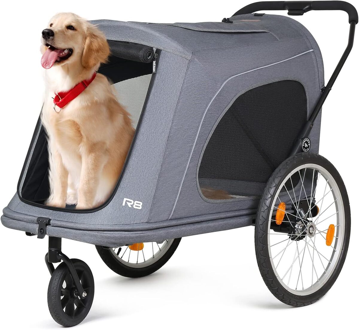 Test de la remorque-poussette Beberoad 2 en 1 pour chien