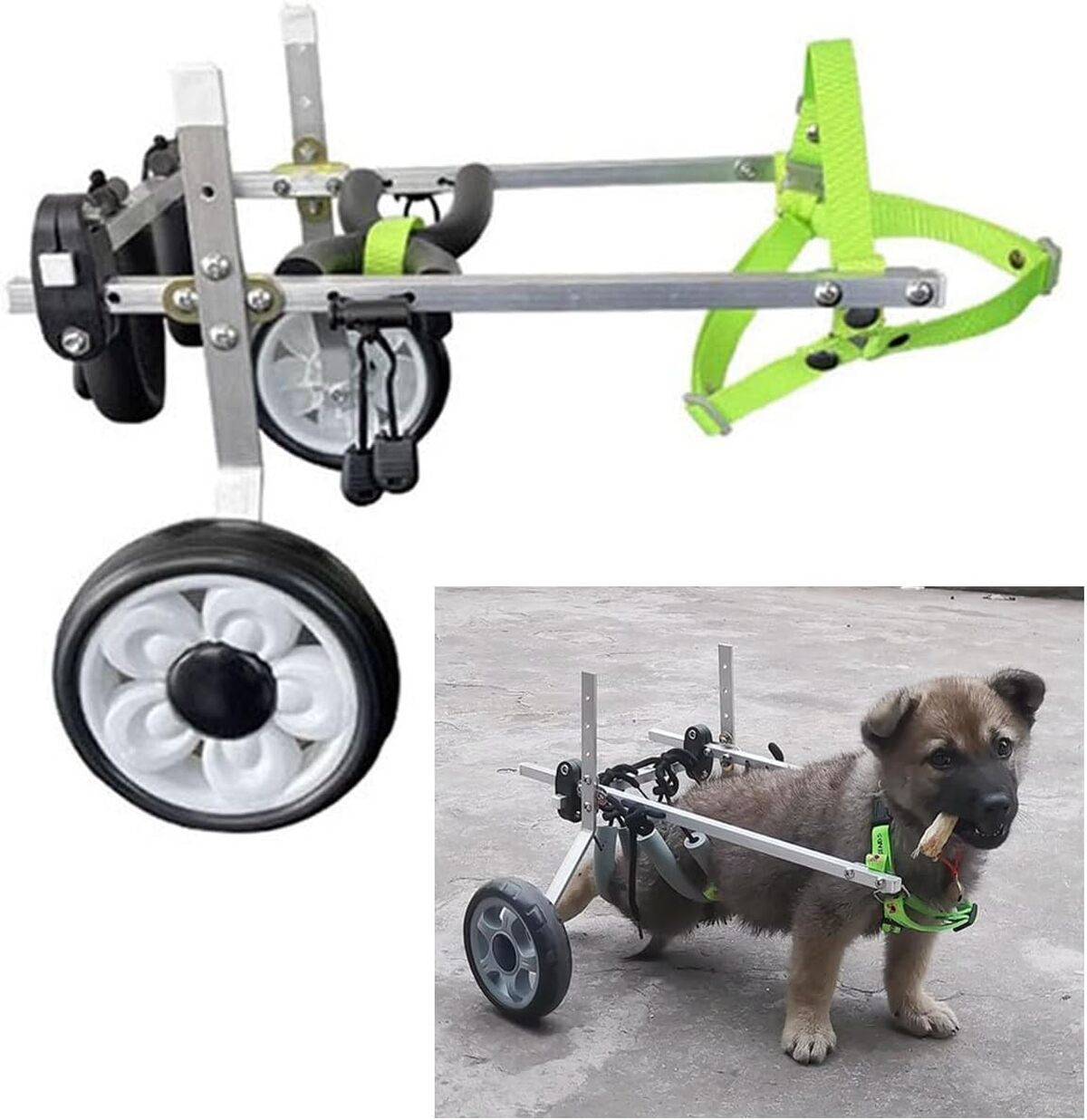 Test du chariot réglable pour chien handicapé de compagnie