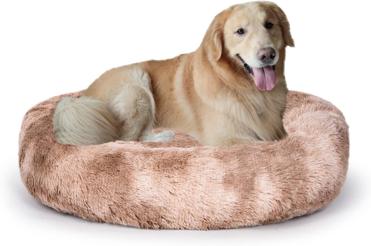 Test du lit ovale Coohom : confort et sérénité pour vos animaux