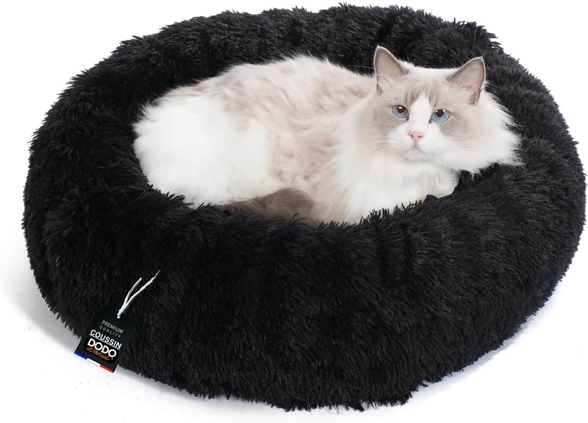 Test du panier One PETS-TOP : confort assuré pour vos animaux