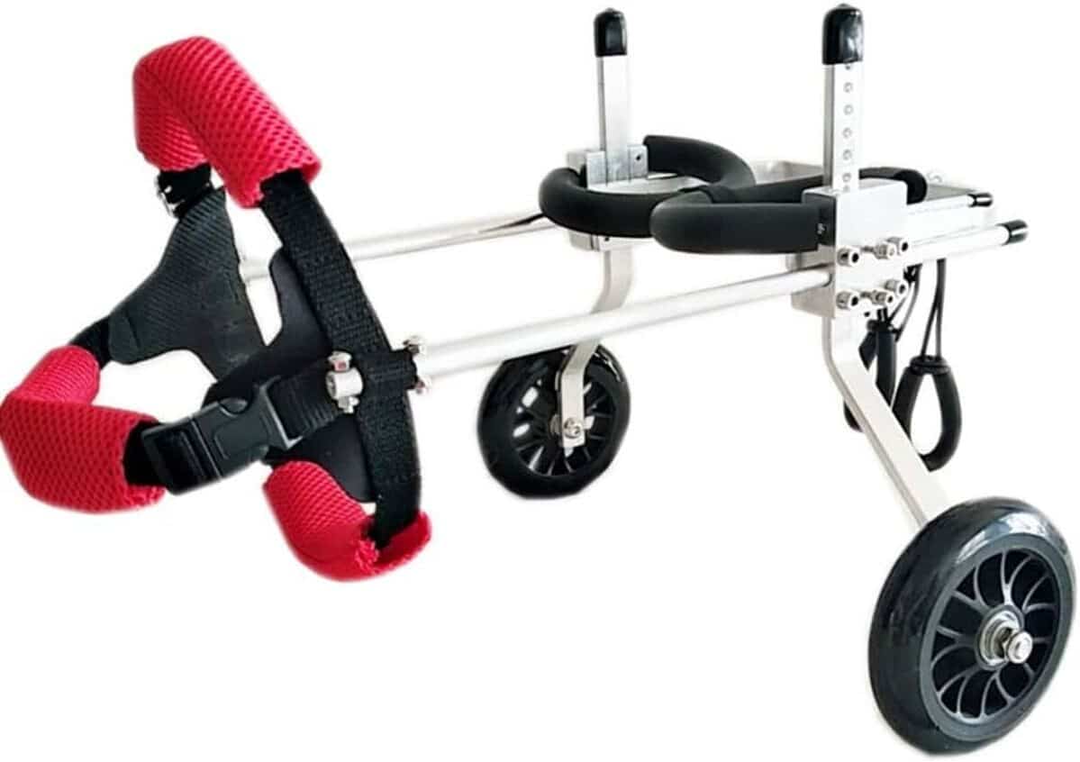 Test : fauteuil roulant KXBYMX pour chien, assistance jambe arrière taille M
