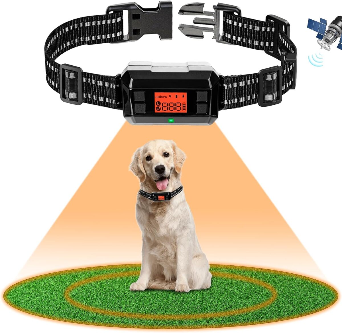 Test de la clôture anti-fugue Cetoon GPS pour chien