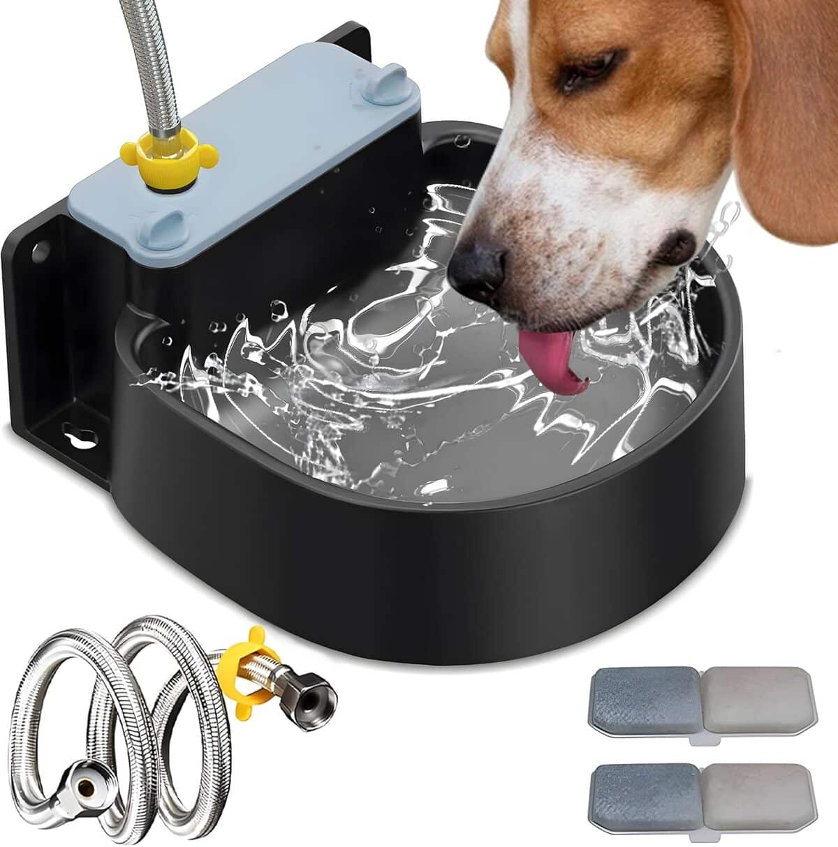 Test de la gamelle d'eau automatique Artecare 2, 2 l