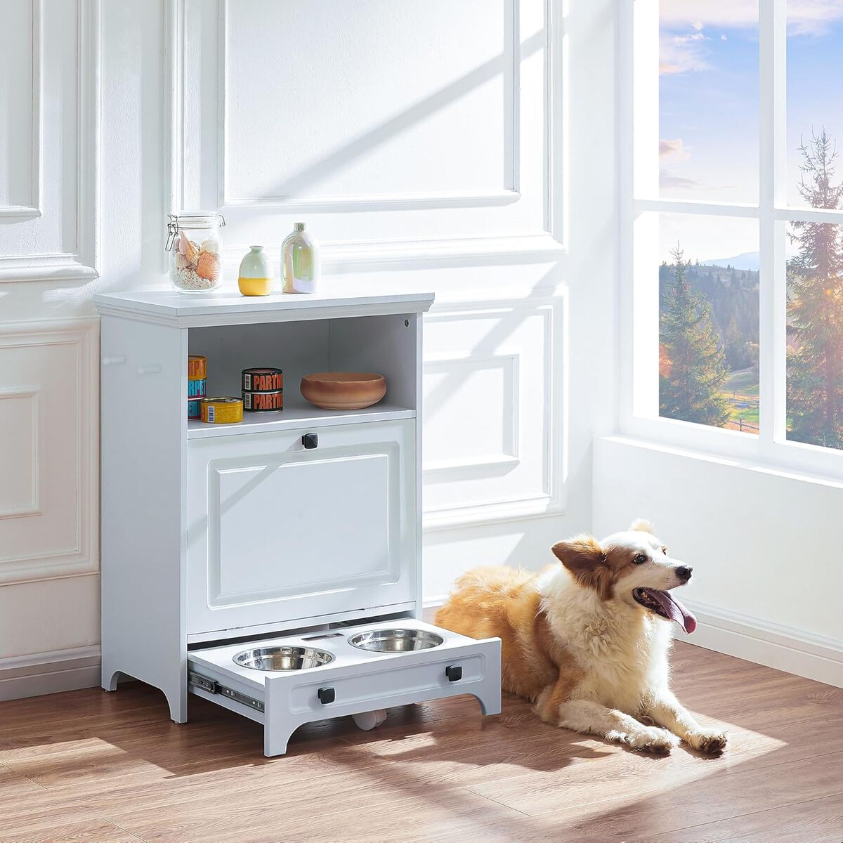 Test de la station d'alimentation Roomfitters pour chiens avec rangement caché