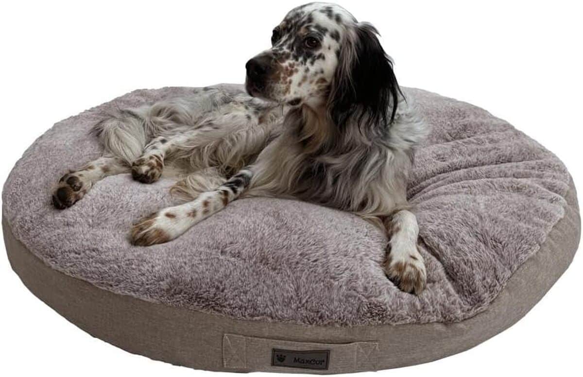 Test du coussin MaxCor orthopédique pour chien : confort et durabilité