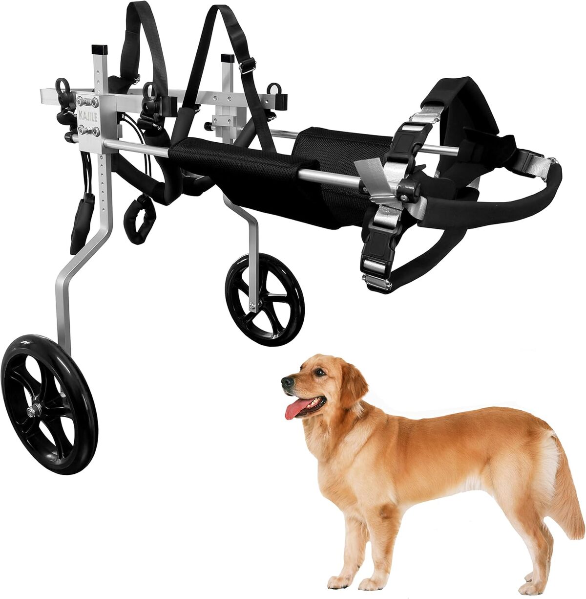 Test du fauteuil roulant KAJILE pour chiens taille XL-2, rééducation des pattes arrière