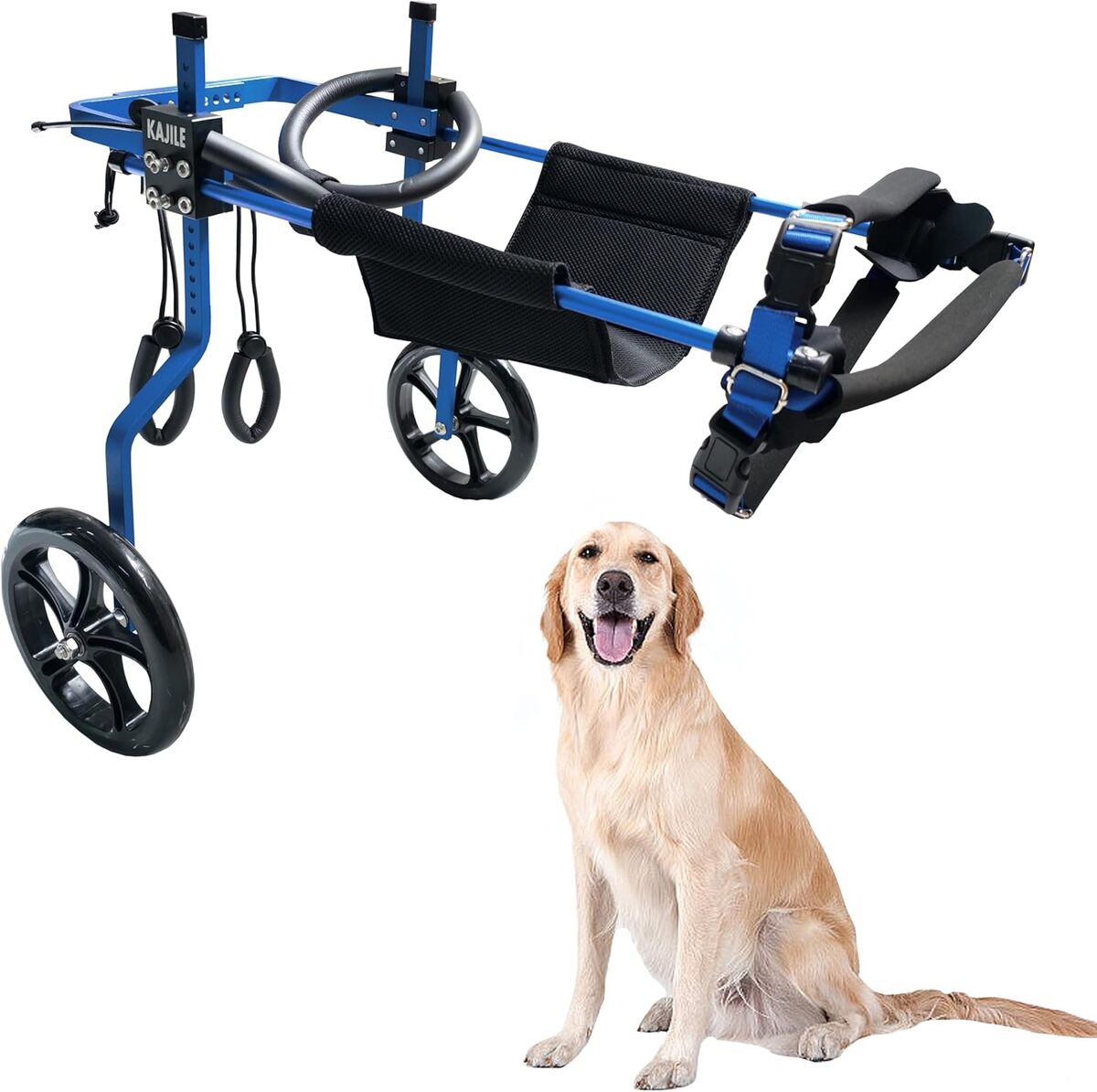 Test du fauteuil roulant réglable KAJILE XXL-1 pour chien