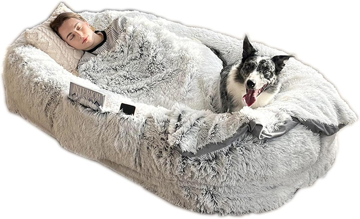 Test du lit géant Panier : confort XXL pour chiens et humains