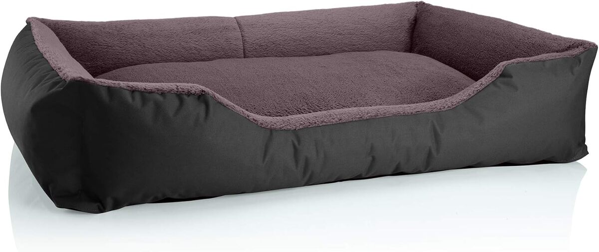 Test du panier BedDog pour chien et chat : confort XXL assuré