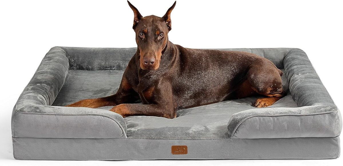 Test du panier orthopédique Bedsure pour grand chien : confort absolu