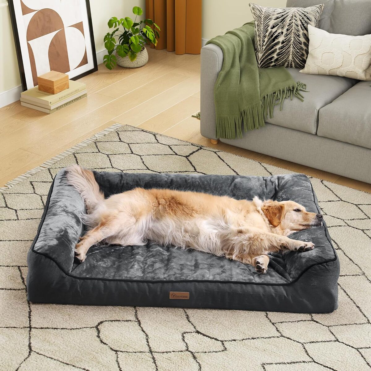 Test du panier orthopédique YITAHOME pour chien qui assure confort et robustesse