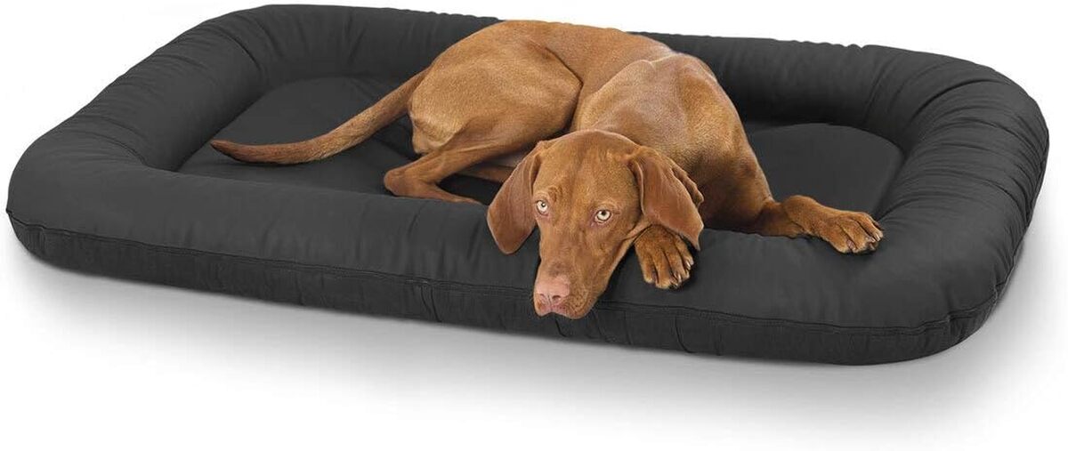 Test du panier pour chien Knuffelwuff Jerry XXXL en cuir noir