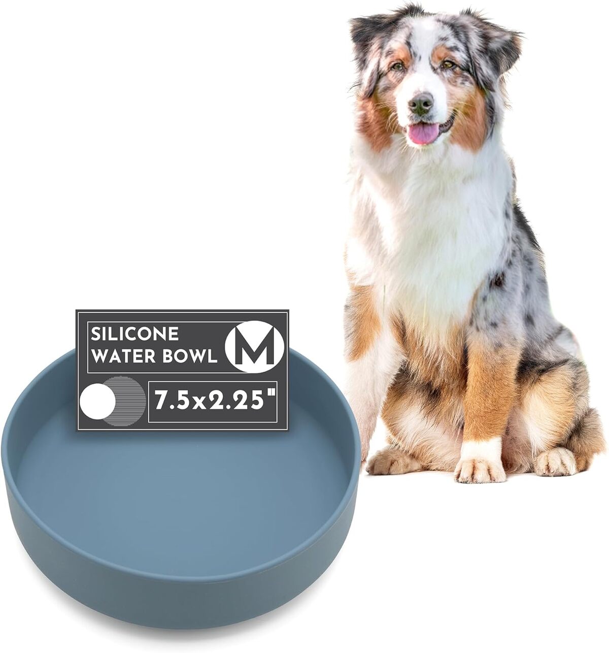 Test : gamelle anti-déversement en silicone pour chien océan
