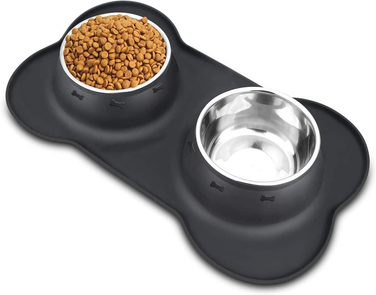 Test des gamelles anti-renversement Zodae pour chiens et chats