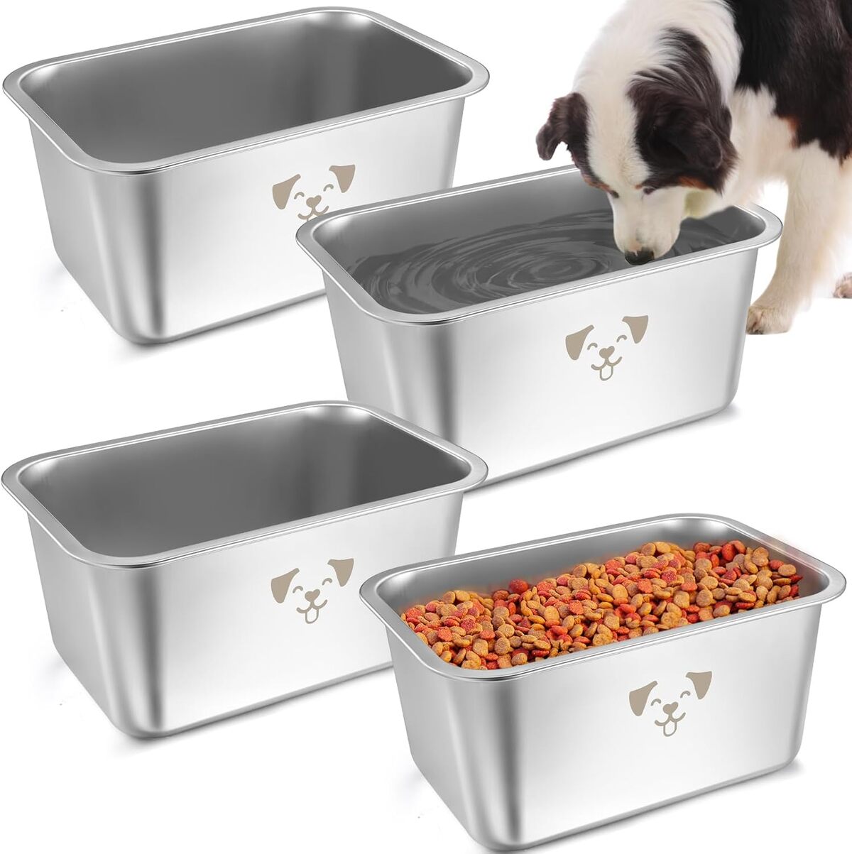 Test des grandes gamelles Sweetude en acier inoxydable pour chiens
