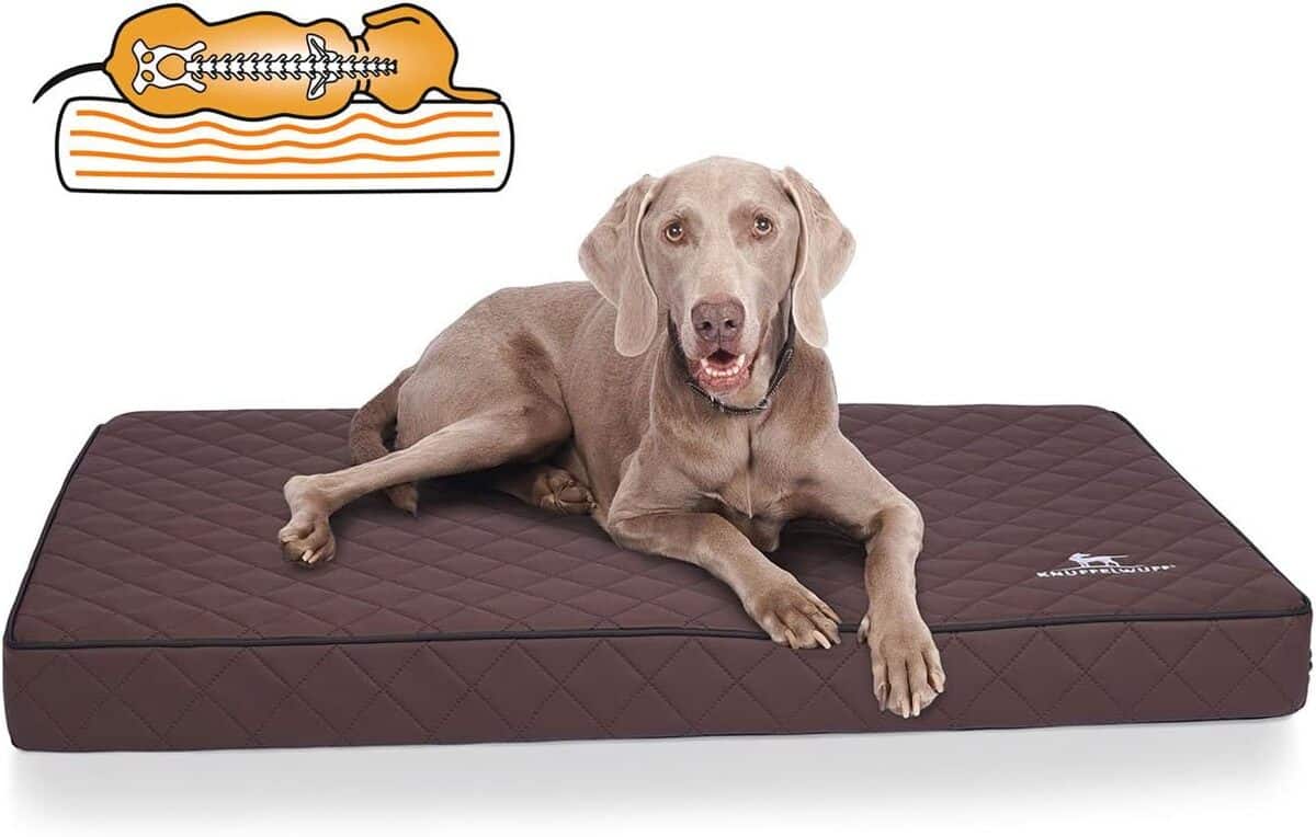 Test du coussin orthopédique Juna Knuffelwuff en similicuir