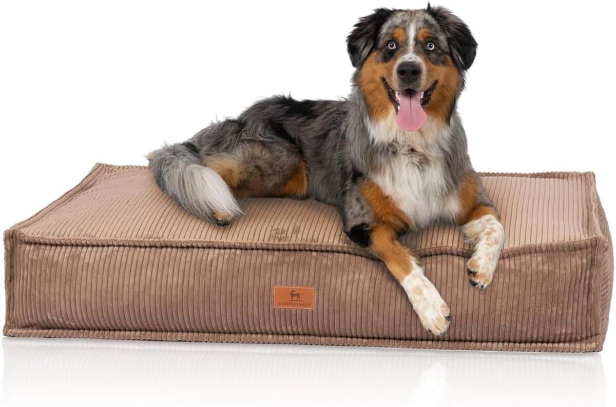 Test du coussin pour chien Lesedi en velours côtelé 120x80 cm de Knuffelwuff