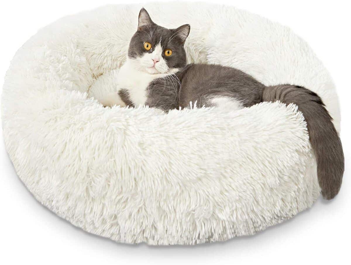 Test du panier HACHIKITTY donut apaisant 61 cm pour chien moyen