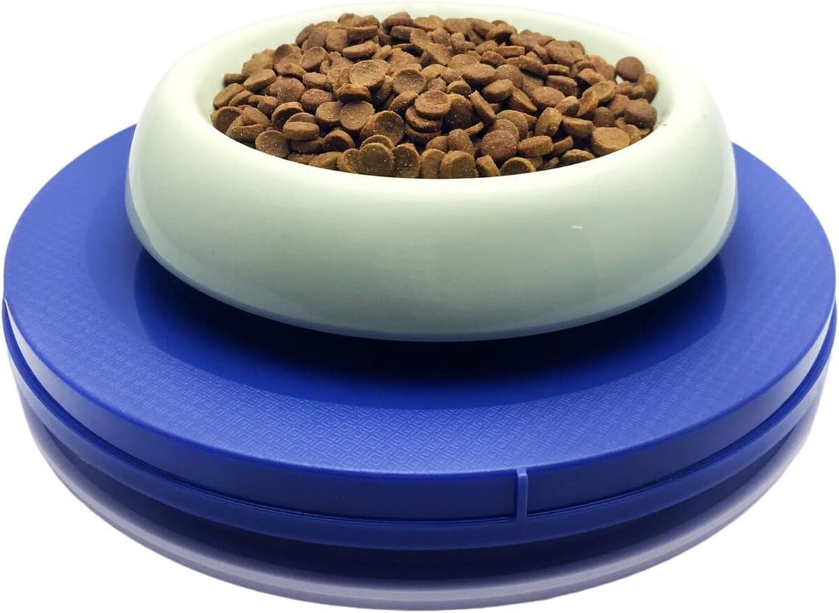 Test : gamelle Ant Away, l'anti-fourmis innovant pour animaux