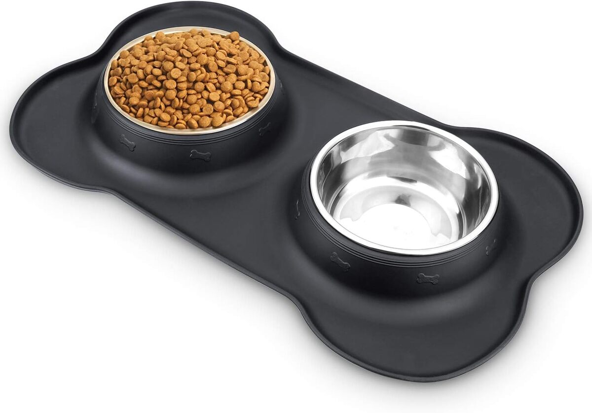Test : gamelles Zodae anti-renversement pour chien