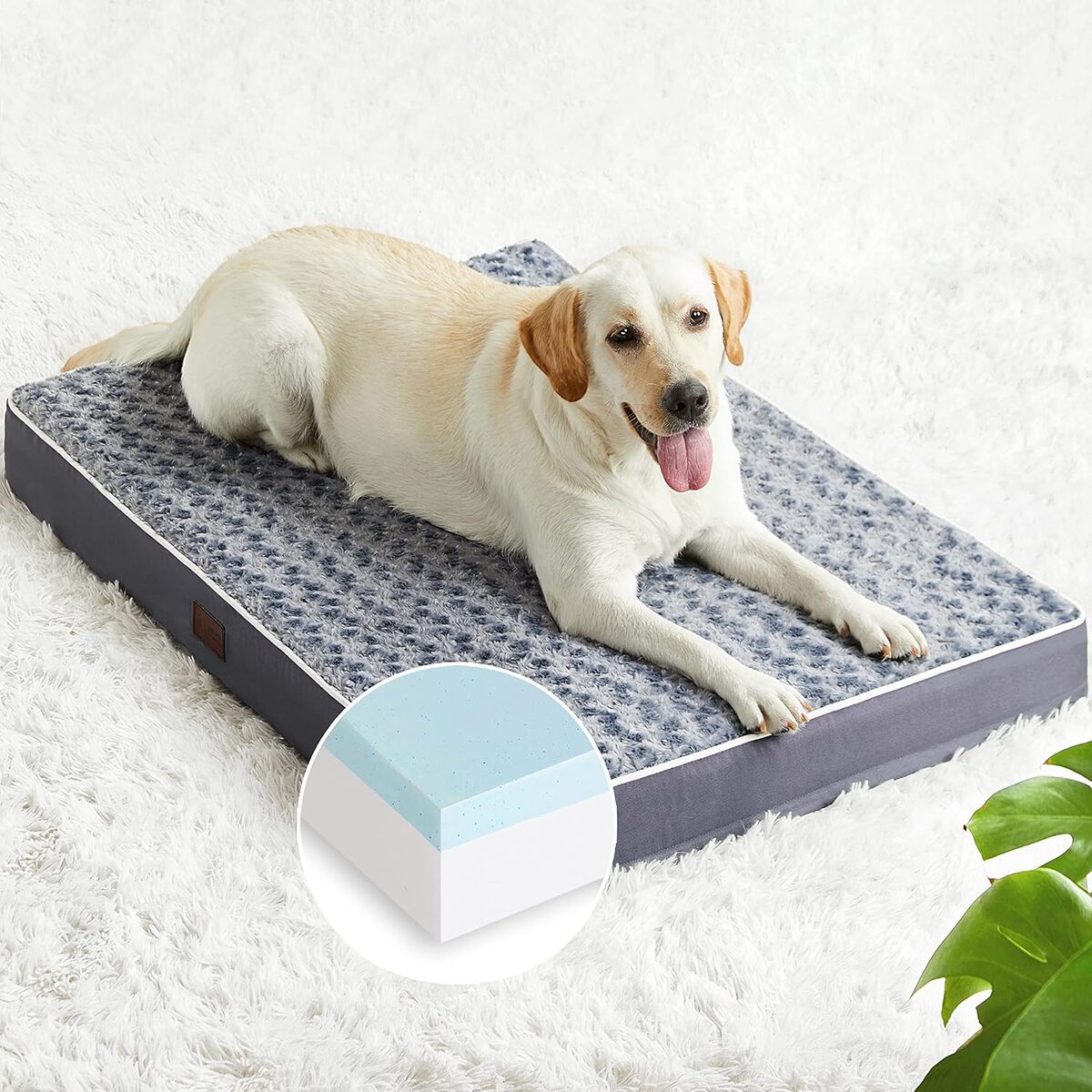 Test : lit orthopédique en mousse pour chien