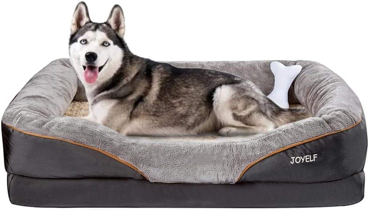 Test : lit orthopédique XXL JOYELF pour chien avec mousse à mémoire de forme