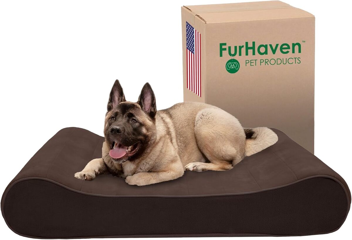 Test : lit XXL FurHaven en mousse à mémoire de forme