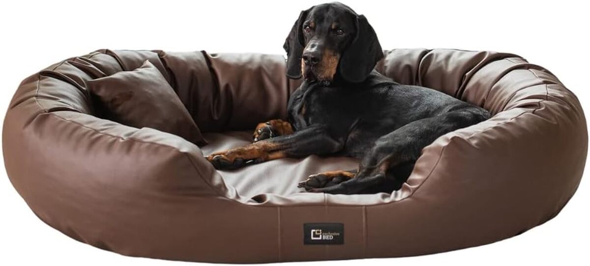 Test : panier orthopédique en cuir exclusive BED Nancy, marron L