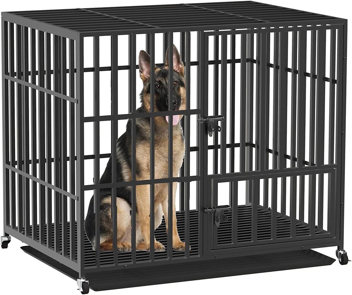 Test : caisse de transport XXL BingoPaw robuste sur roulettes pour gros chiens