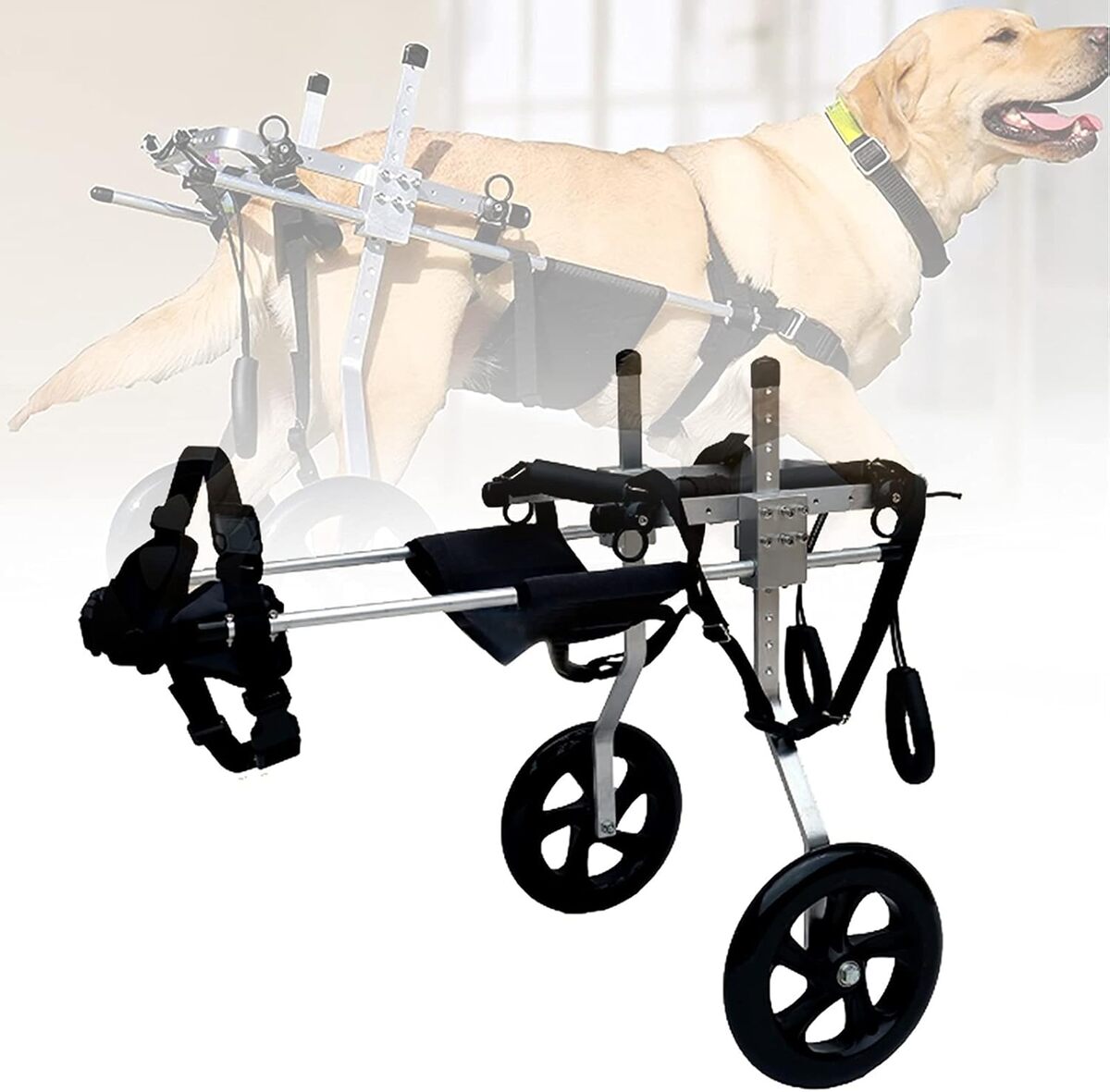 Test du fauteuil roulant réglable pour chien WANGPP taille XXXL