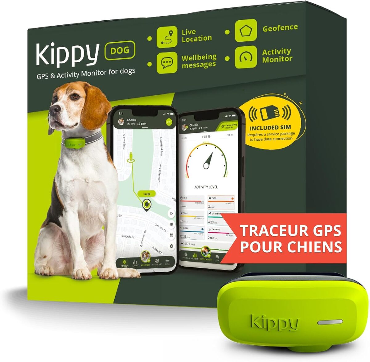 Test du Kippy Dog : traceur GPS pour chiens, étanche et connecté
