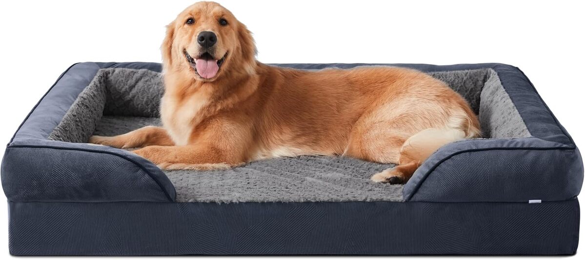 Test du lit orthopédique XL JOEJOY pour chien