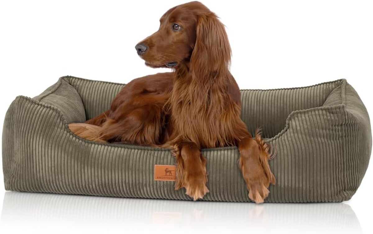 Test du panier pour chien Knuffelwuff Nunavut XL : confort orthopédique en velours côtelé