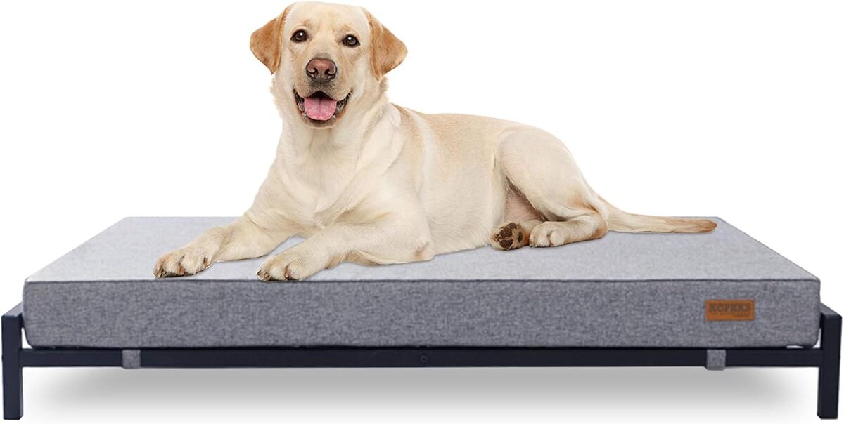 Test : lit surélevé KOPEKS pour grands chiens, confort XL